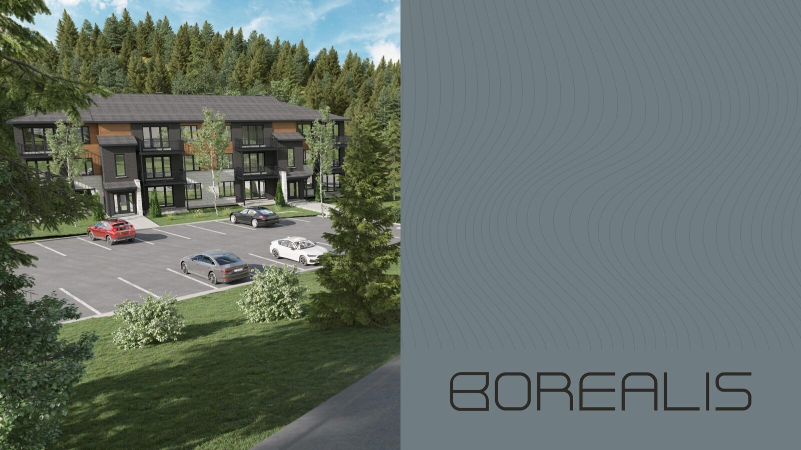 Brandbook Borealis