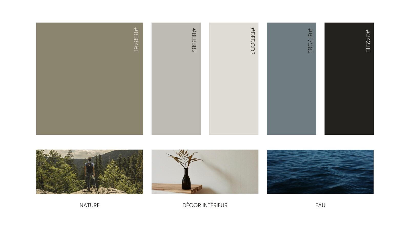 Brandbook Borealis
