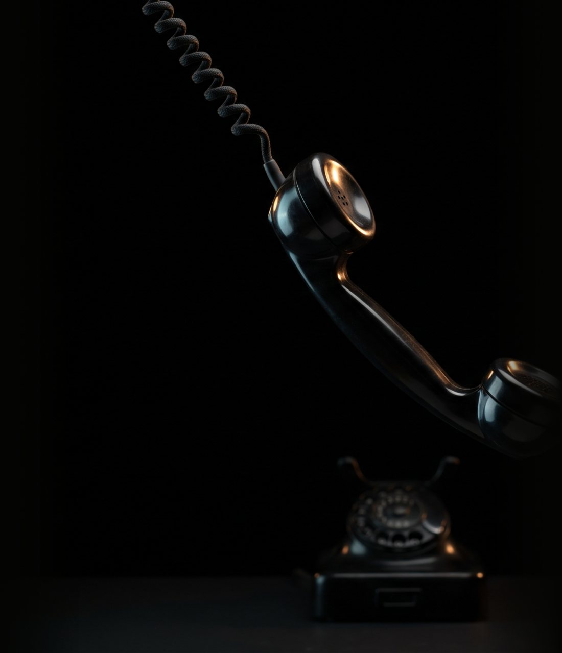 Un setter de Tourdubloc décroche le téléphone
